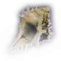 Thumbnail for version as of 22:02, 10 December 2023