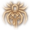 Venomous Bite (Phase Spider)