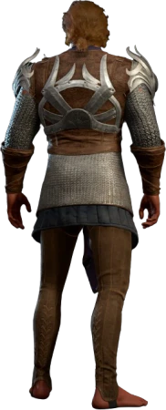 Chain Shirt Shadowheart Half-Elf Back