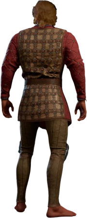 Ring Mail Armour High Elf Back