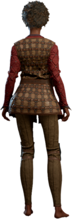 Ring Mail Armour Human Back