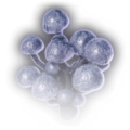 Thumbnail for version as of 00:29, 13 March 2023