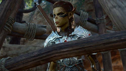 The Githyanki Warrior