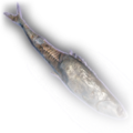 Thumbnail for version as of 10:54, 30 March 2024