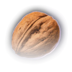 Walnut image
