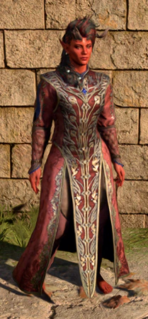 Shelter of Athkatla worn by Karlach