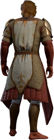 Rippling Force Mail High Elf Back