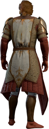 Rippling Force Mail High Elf Back